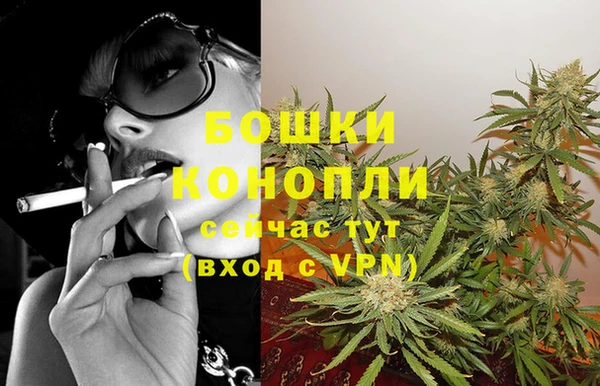 гашик Липки