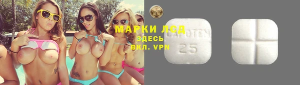 гашик Липки