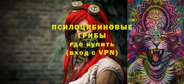 гашик Липки