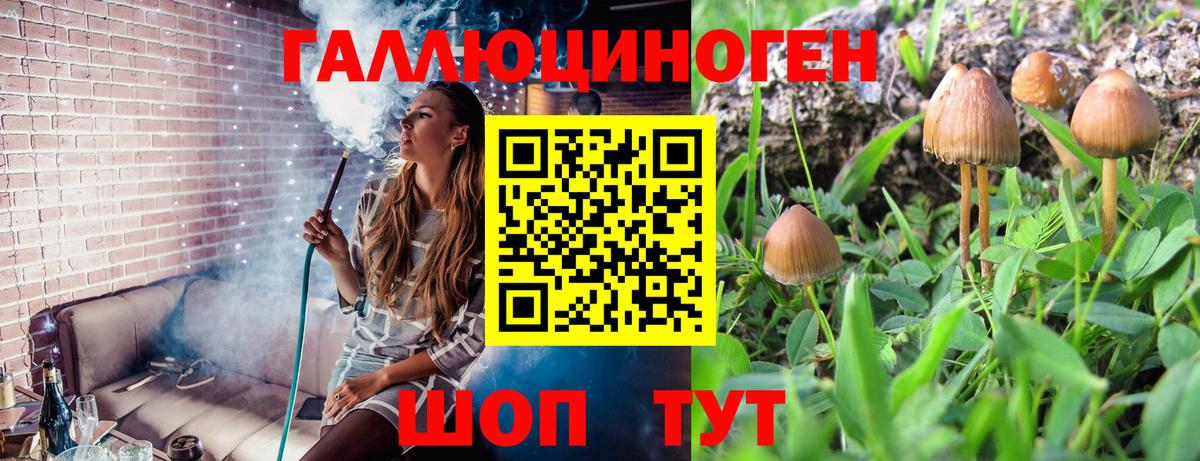 Псилоцибиновые грибы Cubensis  Галлюциногенные грибы Psilocybe  Керчь  Вход с VPN 